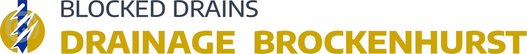 website logo